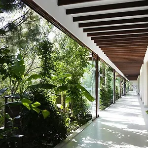 https://the-lifeco-bodrum-well-being-detox-center.aegeanhotels.net